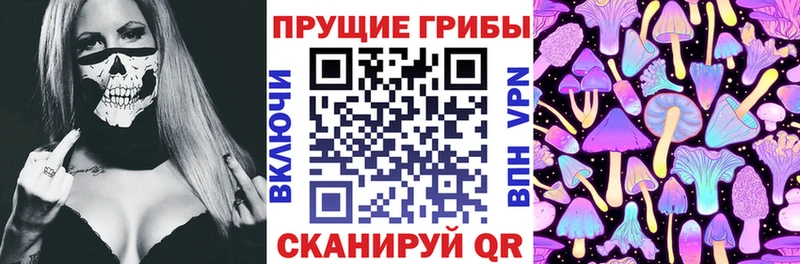 Галлюциногенные грибы Psilocybe  купить закладку  Севск 